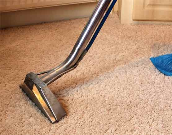  carpet cleaning services